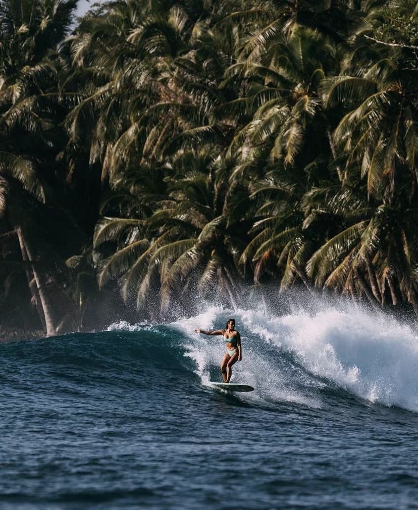Surf Gallery