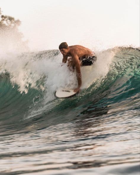 Surf Gallery